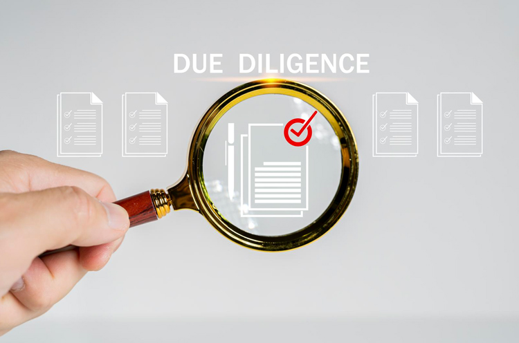 Due Diligence